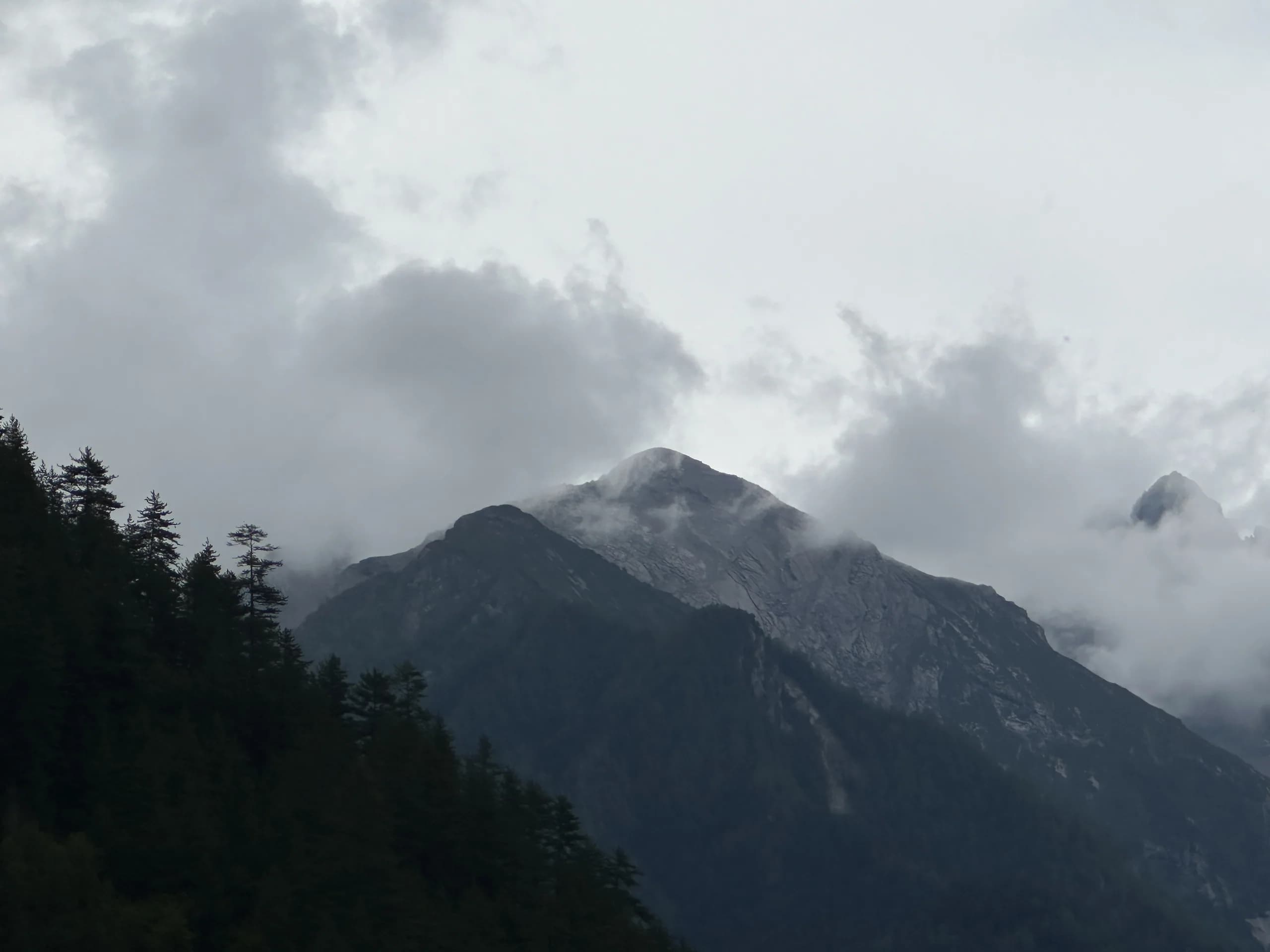 IMG_7983，第 1 张。