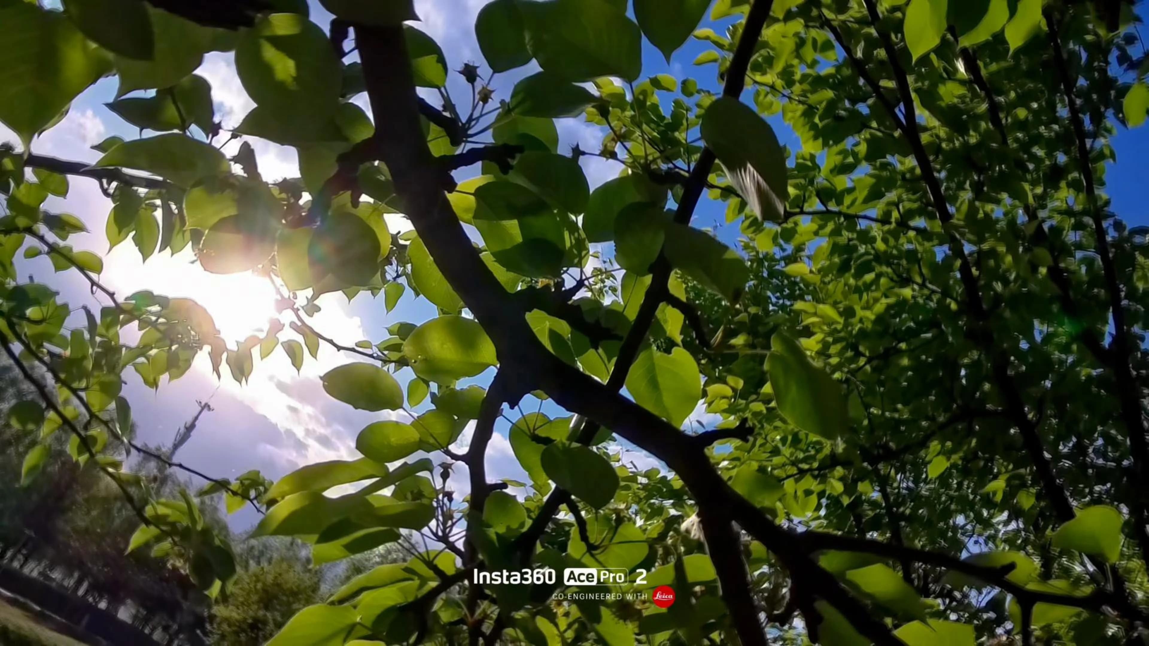 Leslin Li 的 AcePro2 运动影像静帧,第 2 张。